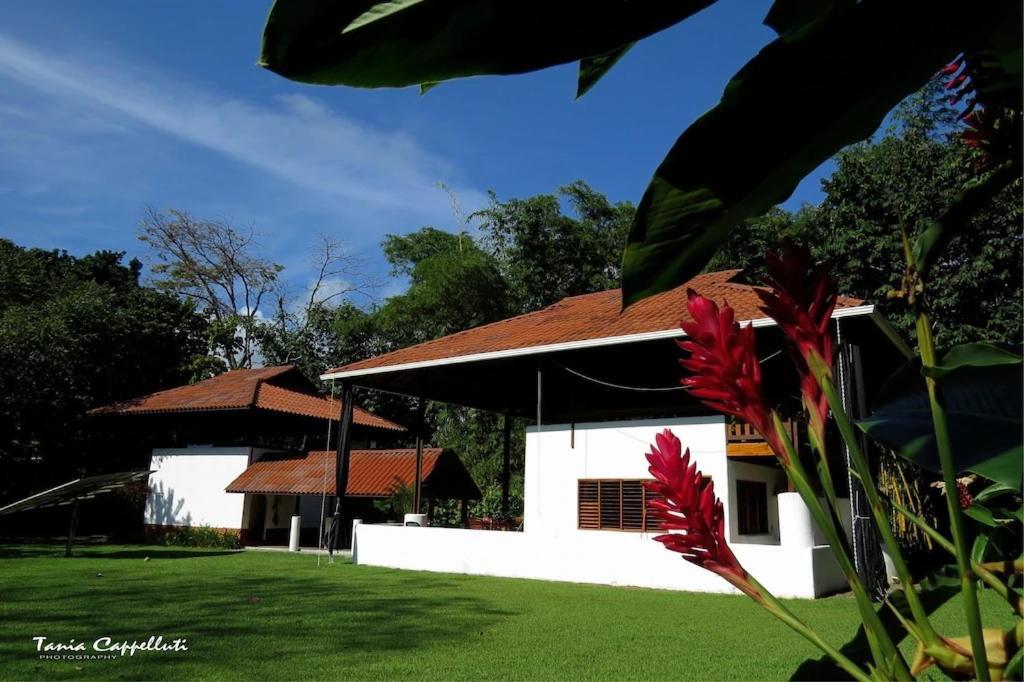 Casa Luz Resort Cabo Matapalo מראה חיצוני תמונה